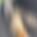 Chapéu Country Western com Chocalho de Cobra